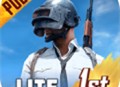PUBG北辰轻体直装下载 - 安卓动作射击游戏下载