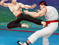 功夫大师游戏(Karate Fighter)下载指南