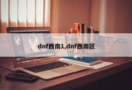 dnf西南1,dnf西南区