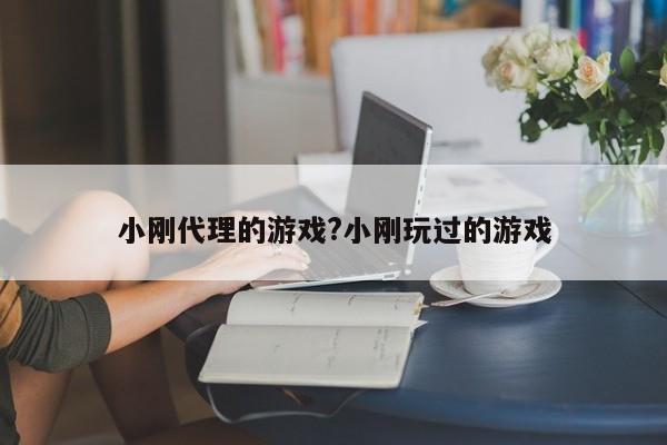 小刚代理的游戏?小刚玩过的游戏