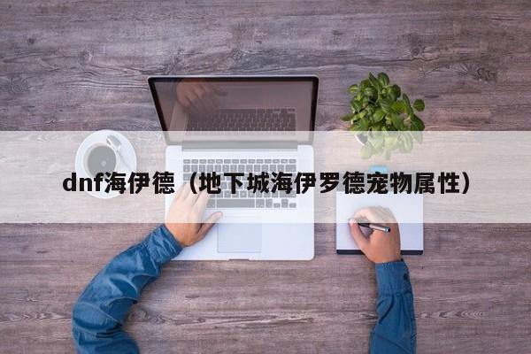 dnf海伊德(地下城海伊罗德宠物属性)
