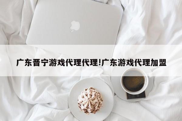 广东晋宁游戏代理代理!广东游戏代理加盟